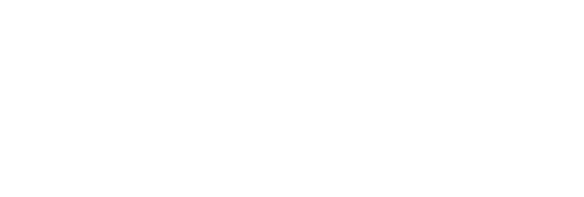 Item 1